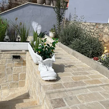 Lana Sibenik